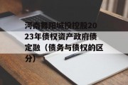 河南舞阳城投控股2023年债权资产政府债定融（债务与债权的区分）