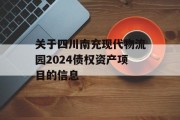 关于四川南充现代物流园2024债权资产项目的信息