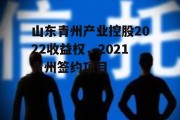 山东青州产业控股2022收益权，2021青州签约项目