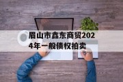 眉山市鑫东商贸2024年一般债权拍卖