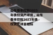 山东泰丰控股2023年债权资产项目，山东泰丰控股2023年债权资产项目招标