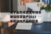 关于山东成武文亭城市建设投资资产2023年收益权产品的信息