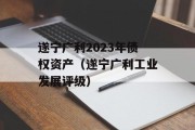 遂宁广利2023年债权资产（遂宁广利工业发展评级）
