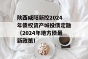 陕西咸阳新控2024年债权资产城投债定融（2024年地方债最新政策）