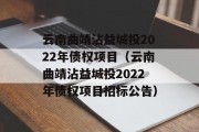 云南曲靖沾益城投2022年债权项目（云南曲靖沾益城投2022年债权项目招标公告）