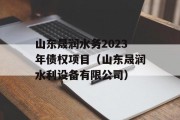 山东晟润水务2023年债权项目（山东晟润水利设备有限公司）