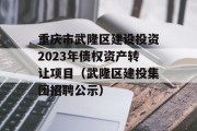 重庆市武隆区建设投资2023年债权资产转让项目（武隆区建投集团招聘公示）