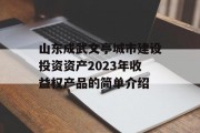 山东成武文亭城市建设投资资产2023年收益权产品的简单介绍