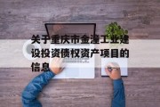 关于重庆市金潼工业建设投资债权资产项目的信息