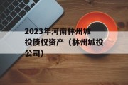 2023年河南林州城投债权资产（林州城投公司）