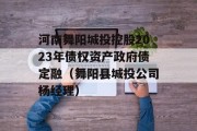 河南舞阳城投控股2023年债权资产政府债定融（舞阳县城投公司杨经理）