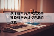 关于山东菏泽成武文亭建设资产收益权产品的信息