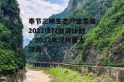 奉节三峡生态产业发展2022债权融资计划，2022年泾川重大项目