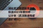 湖北武汉阳逻新港产业投资2023年债权转让计划（武汉新港阳逻港扩建）