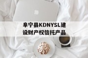 阜宁县KDNYSL建设财产权信托产品