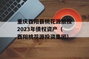 重庆酉阳县桃花源旅投2023年债权资产（酉阳桃花源投资集团）