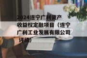 2024遂宁广利资产收益权定融项目（遂宁广利工业发展有限公司 评级）
