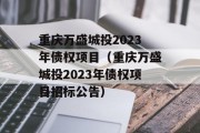 重庆万盛城投2023年债权项目（重庆万盛城投2023年债权项目招标公告）