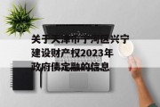 关于天津市宁河区兴宁建设财产权2023年政府债定融的信息