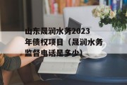 山东晟润水务2023年债权项目（晟润水务监督电话是多少）