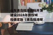 山东青岛陆港国际开发建设2024年债权城投债定融（青岛陆港规划）