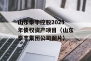 山东泰丰控股2023年债权资产项目（山东泰丰集团公司图片）