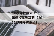 SD泰丰控股2023年债权系列项目（2023即将停牌重组）