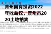 青州国有投资2022年收益权，青州市2020土地拍卖