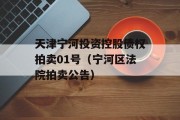 天津宁河投资控股债权拍卖01号（宁河区法院拍卖公告）