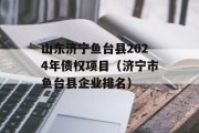 山东济宁鱼台县2024年债权项目（济宁市鱼台县企业排名）