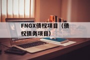 FNGX债权项目（债权债务项目）