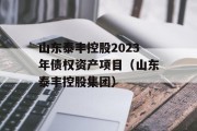 山东泰丰控股2023年债权资产项目（山东泰丰控股集团）