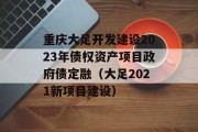 重庆大足开发建设2023年债权资产项目政府债定融（大足2021新项目建设）