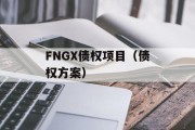FNGX债权项目（债权方案）