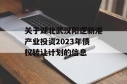 关于湖北武汉阳逻新港产业投资2023年债权转让计划的信息