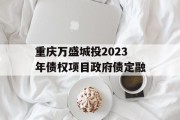 重庆万盛城投2023年债权项目政府债定融
