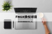 FNGX债权项目