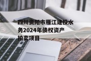 四川资阳市雁江建投水务2024年债权资产拍卖项目