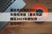 重庆市武隆区2023年债权项目（重庆市武隆区2023年债权项目招标）