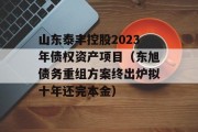 山东泰丰控股2023年债权资产项目（东旭债务重组方案终出炉拟十年还完本金）