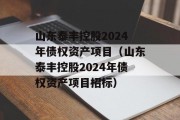 山东泰丰控股2024年债权资产项目（山东泰丰控股2024年债权资产项目招标）