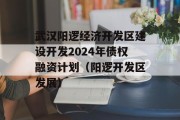武汉阳逻经济开发区建设开发2024年债权融资计划（阳逻开发区发展）