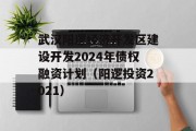 武汉阳逻经济开发区建设开发2024年债权融资计划（阳逻投资2021）