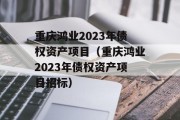 重庆鸿业2023年债权资产项目（重庆鸿业2023年债权资产项目招标）