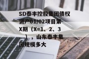 SD泰丰控股集团债权资产01/02项目第X期（X=1、2、3...），山东泰丰集团规模多大