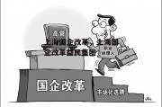 上海国企改革，上海国企改革益民集团