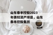 山东泰丰控股2023年债权资产项目，山东泰丰控股集团