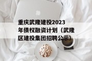 重庆武隆建投2023年债权融资计划（武隆区建投集团招聘公示）