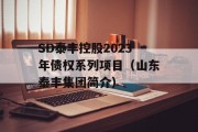 SD泰丰控股2023年债权系列项目（山东泰丰集团简介）