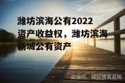 潍坊滨海公有2022资产收益权，潍坊滨海新城公有资产